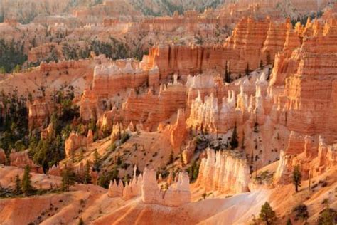 Sunrise Point, Bryce Canyon National Park | Ticket Price | Timings | Address: TripHobo