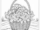 Flowers Coloring Pages  VerbNow sketch template