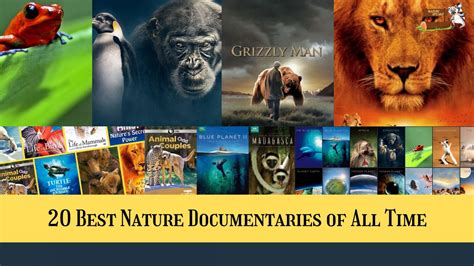 Best Nature Documentaries 2024 - Maryl Sheeree