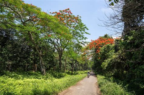 10 Best Natural Wonders in Vietnam - Take a Road Trip Through Vietnam - Go Guides