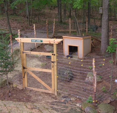 How Build the Perfect Pen for Pet Pygmy Goats | PetHelpful