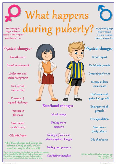 What happens during Puberty? Poster - A2 – Tiger Moon