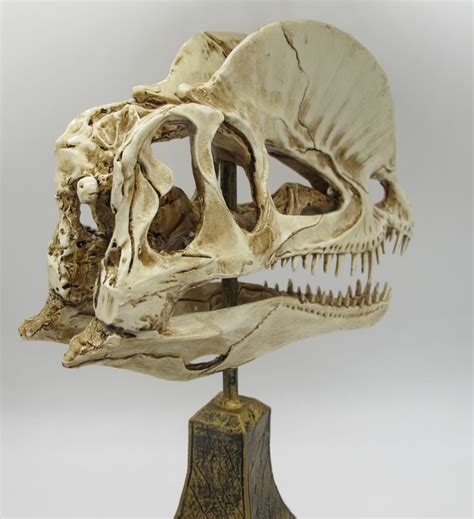 Replica skull of a Dilophosaurus wetherilli dinosaur resin - 27 x 17 x 9 cm - 0.91 kg - Catawiki