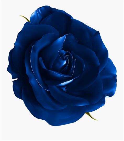 Blue Rose Png Download - Flower Realistic Clip Art , Free Transparent Clipart - ClipartKey