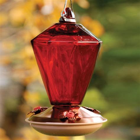 WoodLink Glass Hummingbird Feeder at Lowes.com