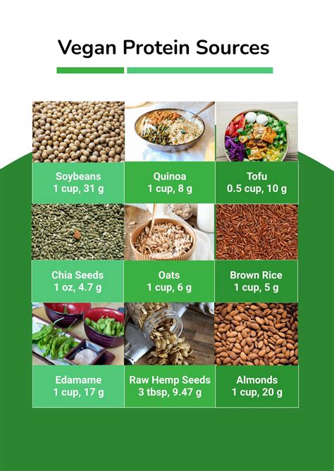 Vegan Protein Sources Chart in Illustrator, PDF - Download | Template.net