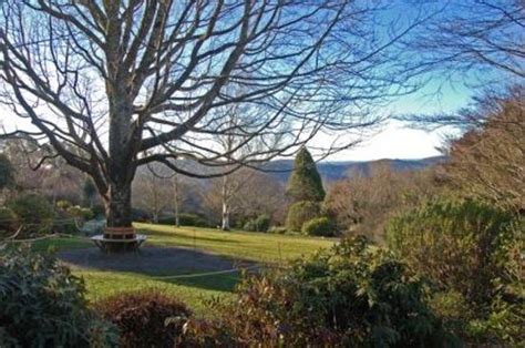 The Blue Mountains Botanic Garden (Mount Tomah): UPDATED 2020 All You Need to Know Before You Go ...