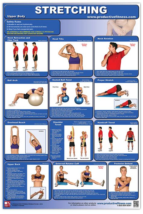 Upper Body Stretching Poster – Fitness Serve