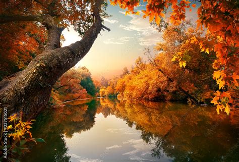 Orange autumn on river Stock Photo | Adobe Stock