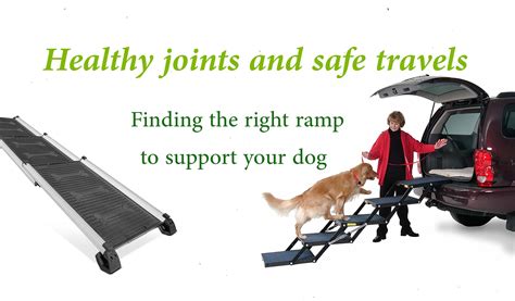 Healthy joints and safe travels: Best dog ramps reviewed - Petaholics