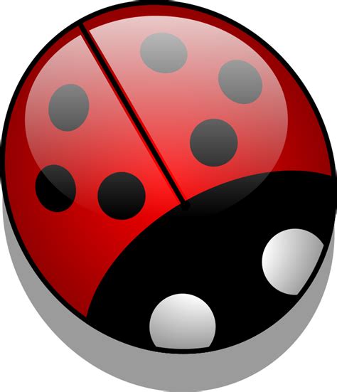 Cartoon Ladybug Transparent HQ PNG Download | FreePNGImg