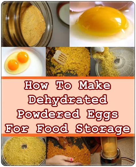 How To Make Dehydrated Powdered Eggs For Food Storage - The Homestead Survival