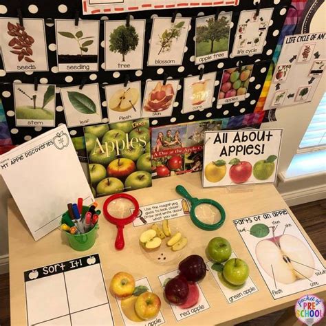 How to set up the Science Center in your Early Childhood Classroom ...