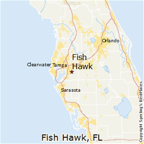 Best Places to Live in Fish Hawk, Florida