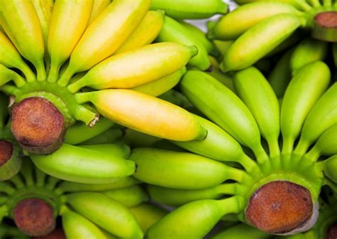 Lebih Sehat Mana? Makan Pisang Kuning atau Pisang Hijau | IDNPortal