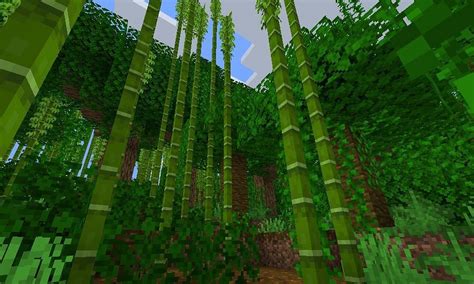 Bamboo Jungle in Minecraft