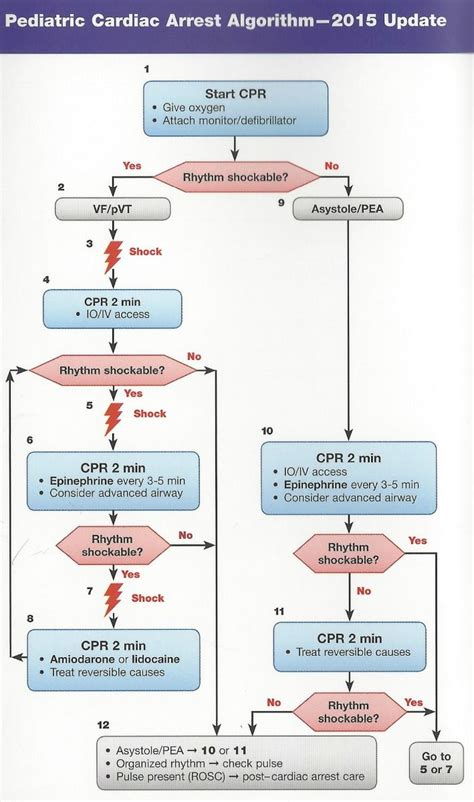 How to Pass the Pediatric Advanced Life Support (PALS) Like A Boss ...