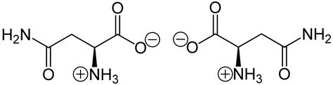 Asparagine