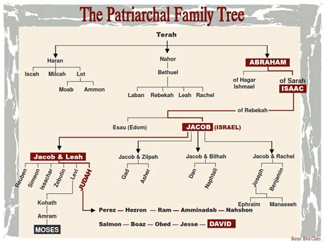 The Patriarchal Family Tree | Bible study notes, Bible study topics, Bible facts