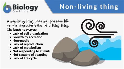 Non-living thing - Definition and Examples - Biology Online Dictionary