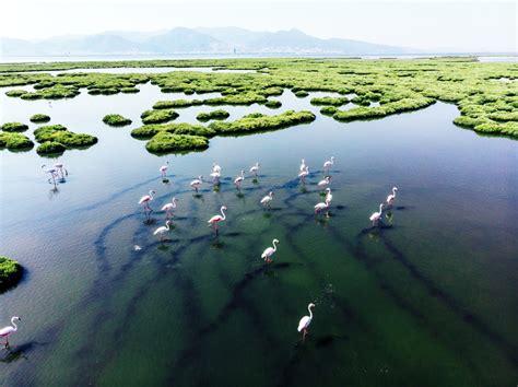 5 Ways Wetlands are Crucial to Climate Change Adaptation - Global Center on Adaptation