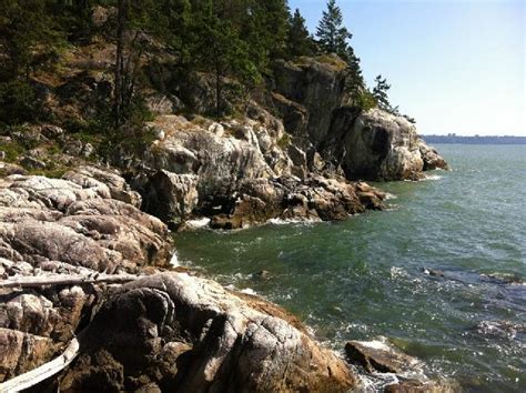 Lighthouse Park Photo | Hiking Photo Contest | Vancouver Trails