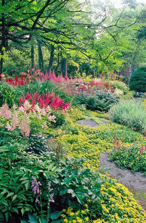 20 Shade Garden Design Ideas That Prove You Can Grow Colorful Plants Anywhere | Shade plants ...