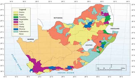 Fertilizer use by crop in South Africa