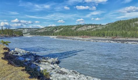 Top 60 Copper River Alaska Stock Photos, Pictures, and Images - iStock