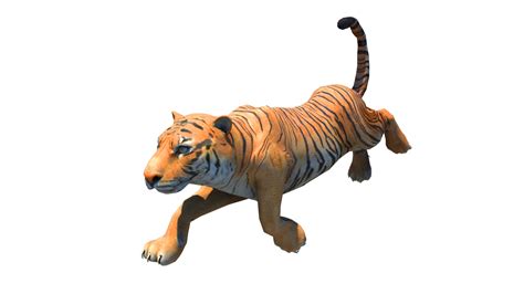 Wild Animals Pack RIgged and Animated 3D Model