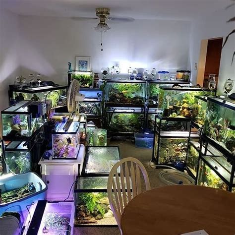 Whoa! Now that is a fish room. #marinedepot #happyreefkeeping #fishtank ...