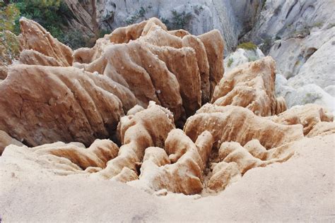 Mushroom Caves