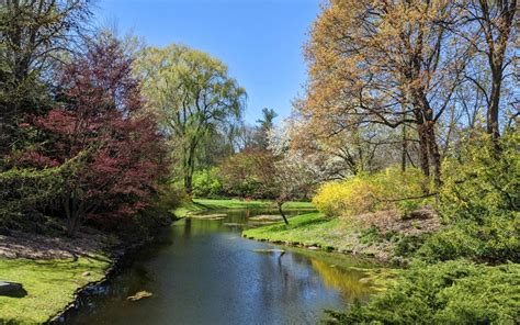 Walk Through the Trees at Dow Gardens in Midland • My Michigan Travel