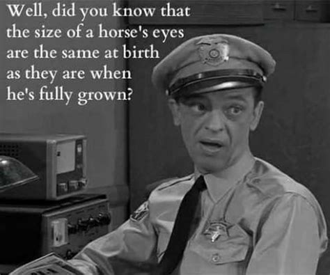 Andy Griffith Quotes, The Andy Griffith Show, Mayberry Nc, Barney Fife ...