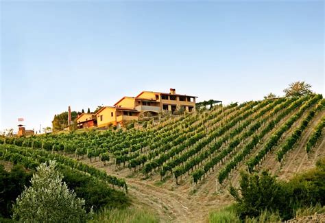 Chianti (Wine Styles, Best Wines, Prices 2021)