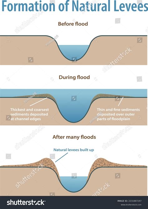 Levees Diagram