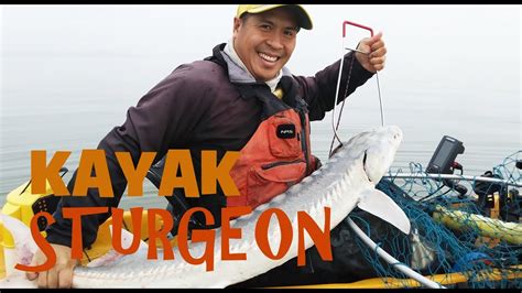 Kayak Fishing for Sturgeon: San Pablo Bay - YouTube