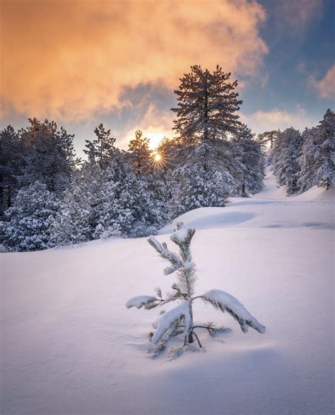 The Winter Magic of Troodos Mountains in Cyprus - GreekReporter.com