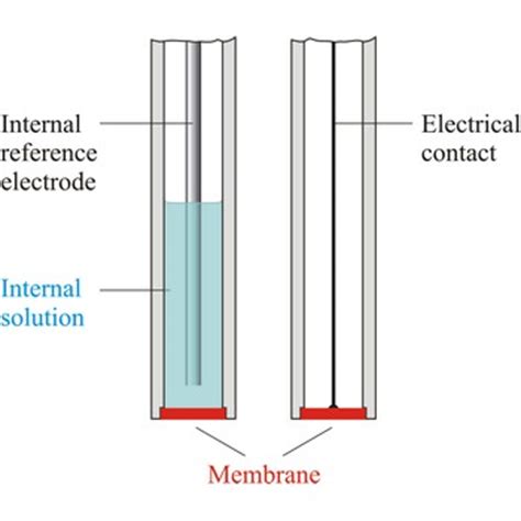 Ion selective electrode @ Chemistry Dictionary & Glossary