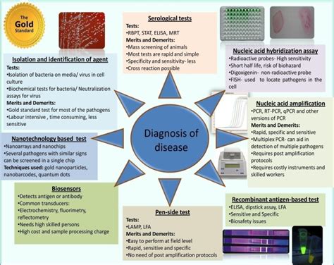 Diagnostic techniques used for diagnosis of different diseases, their ...