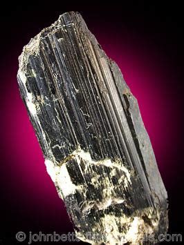 Single Prismatic Hornblende Crystal - The Mineral and Gemstone Kingdom