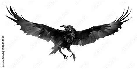 drawn bird in flight. black raven flapping wings Stock Illustration ...