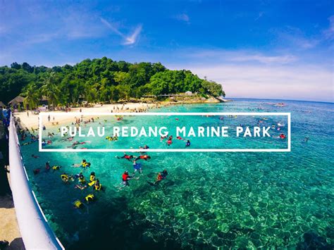 TERENGGANU: PENGALAMAN & TIPS SNORKELING DI PULAU REDANG MARINE PARK ...