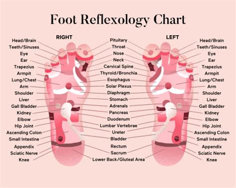 DIY Foot Reflexology: How To Use It For Better Sleep | mindbodygreen