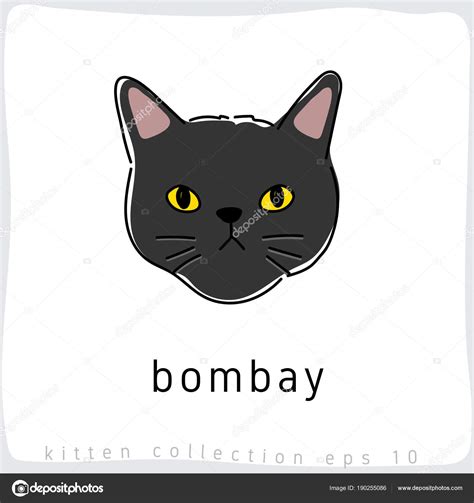 Bombay Cat Vector Illustration Stock Vector Image by ©daraon #190255086