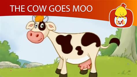 Moo Moo Cow