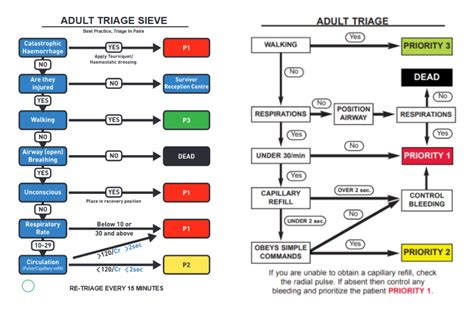 Multiple-Casualty Triage – A review of SALT, START, Sieve