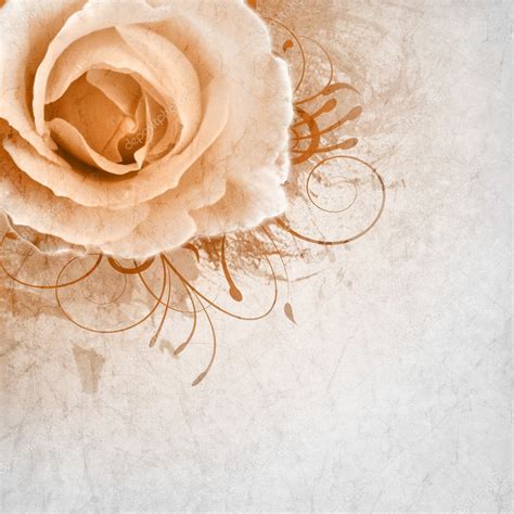 Beige wedding background with roses — Stock Photo © o_april #7252863