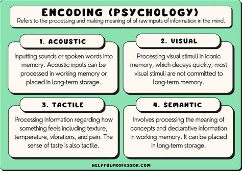 The Six Types of Encoding (Psychology of Memory) (2024)