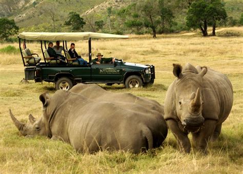 2 Day South African Wildlife Safari - Cape Town | Project Expedition